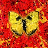 Shivers cover