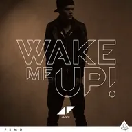 Wake Me Up cover